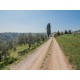 Properties for Sale_EXCLUSIVE FARMHOUSE TO RENOVATE WITH SEA VIEW in Fermo in the Marche in Italy in Le Marche_20